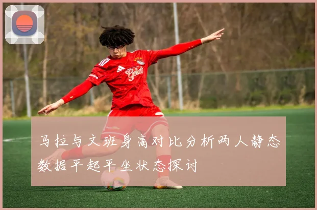 马拉与文班身高对比分析两人静态数据平起平坐状态探讨